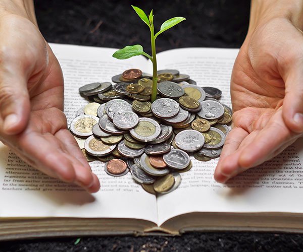 A sapling, growing out of a pile of coins that are sitting on the bible.